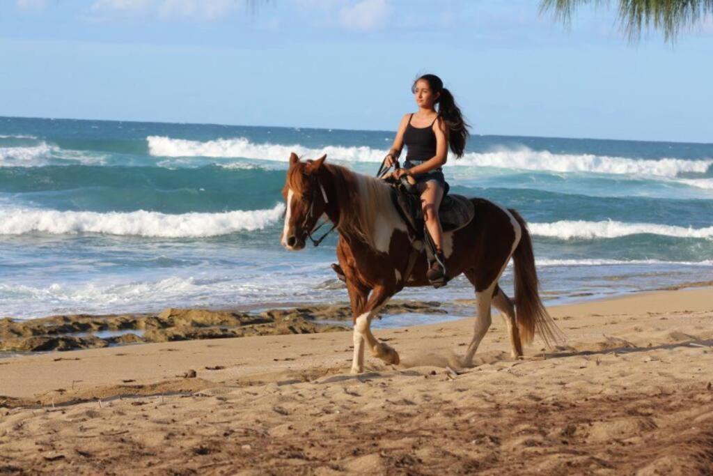 Paradise Coast Pr - Condo Isabela Exteriör bild